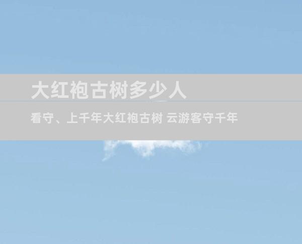 大红袍古树多少人看守、上千年大红袍古树 云游客守千年